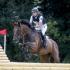 FEI European Eventing Championships 2017